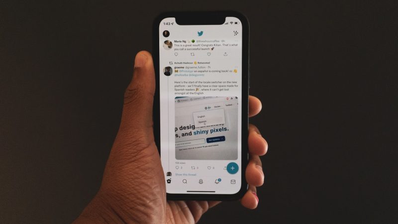 How to Download Videos From Twitter On your Browser