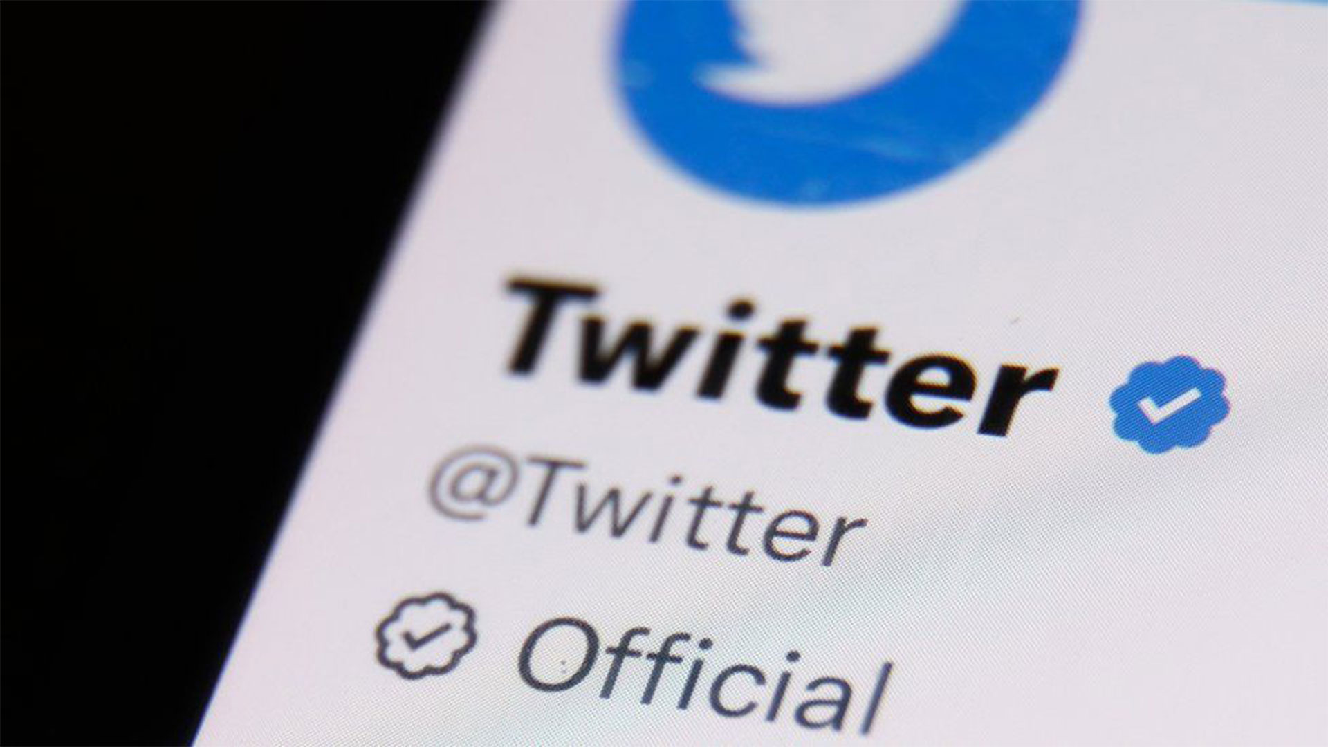 Twitter Blue: How to Get Verified on Twitter